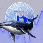 Are Bitcoin Whales Buying the Dip? On-Chain Data Reveals Their Next Move