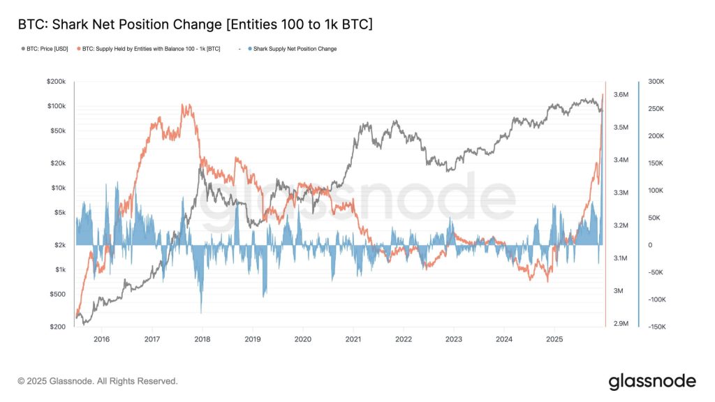 Bitcoin’s viral $5 billion whale buy signal was actually a dangerous trap set by institutional accounting