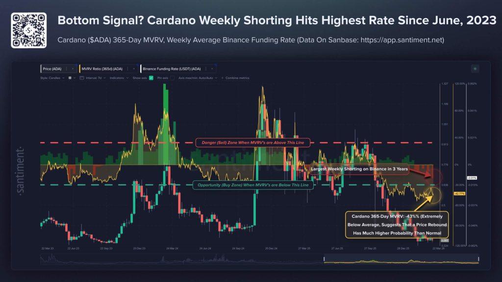 Cardano ADA shorts spike to highest since June 2023 as 71% crash meets Midnight launch this week risk